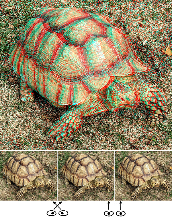 Maker Faire | 3dDigitalPhoto.com / Barry Rothstein - Maker Faire