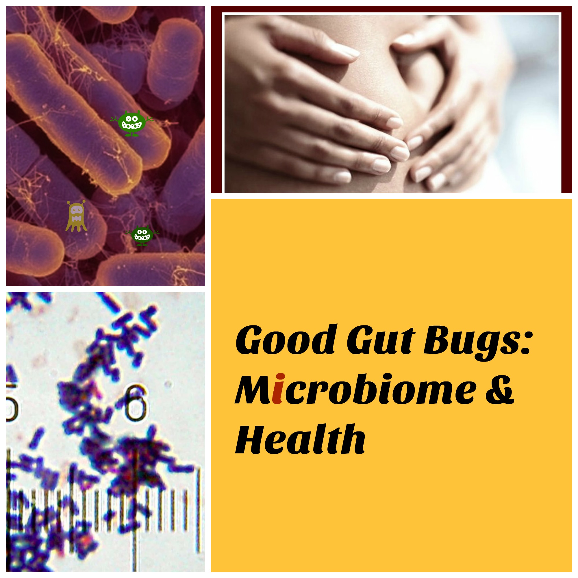 Good Gut Bugs: Microbiome and Health