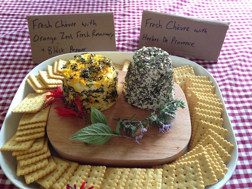 10 Minutes to Cheese: Two Styles of Cheese in Ten Minutes or Less