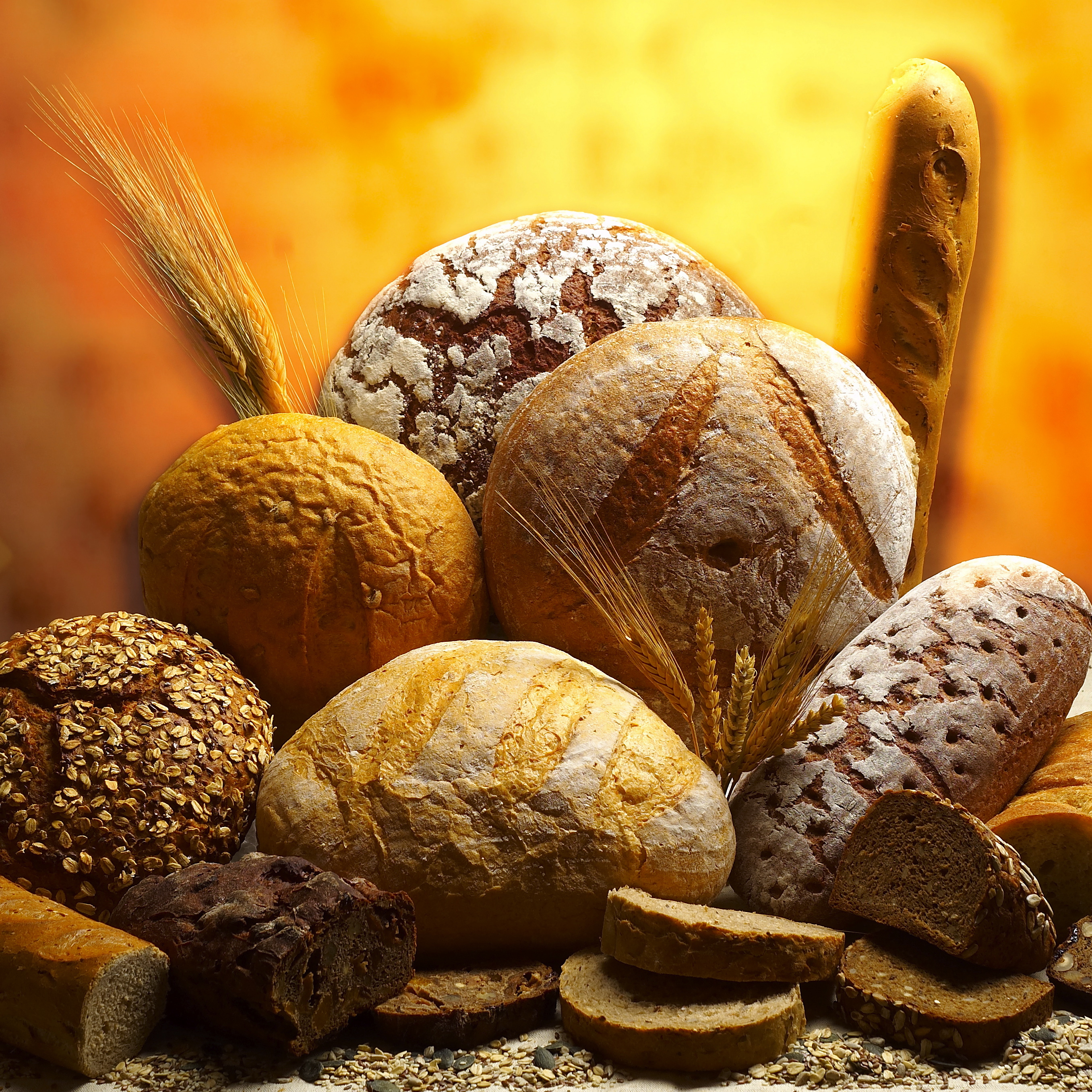 Gluten: What IS it? (And why is it so delicious?!)