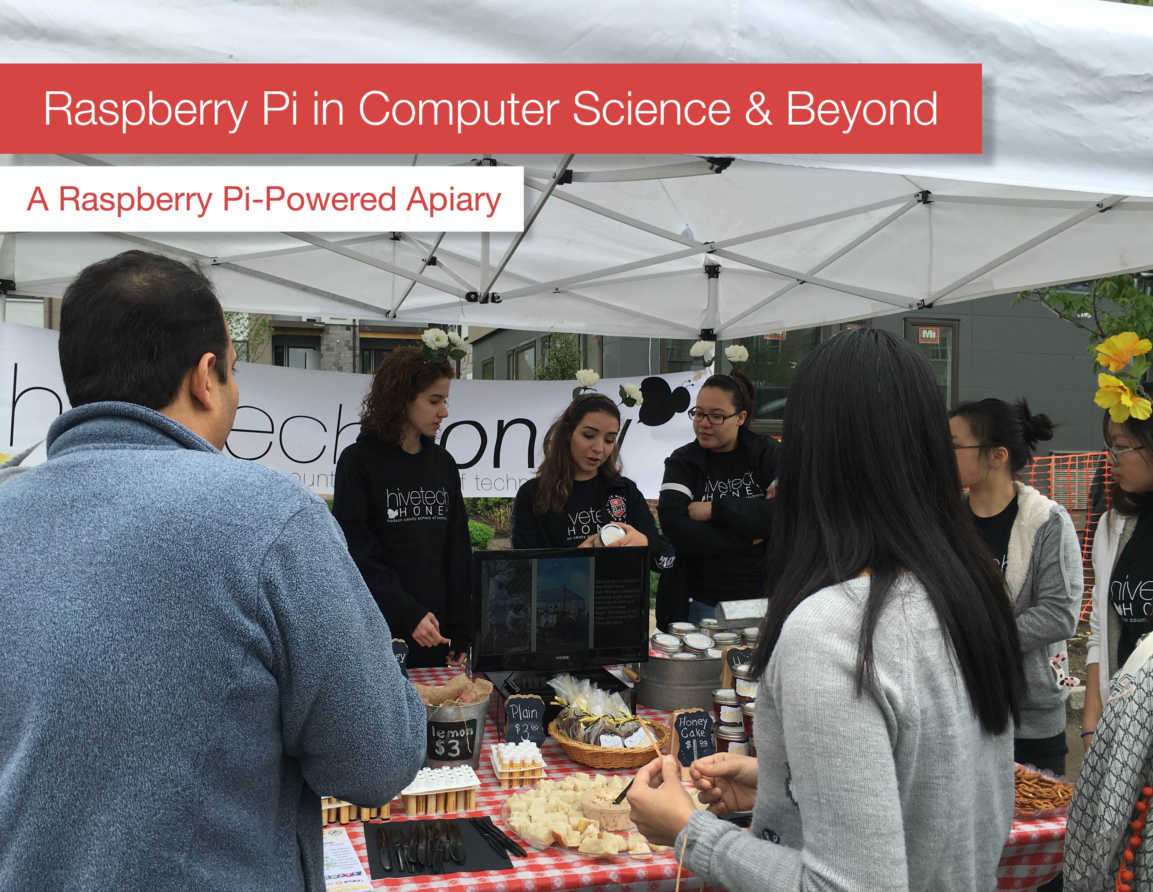 Raspberry Pi in CS and Beyond - the Making of a Raspberry Pi Powered Apiary
