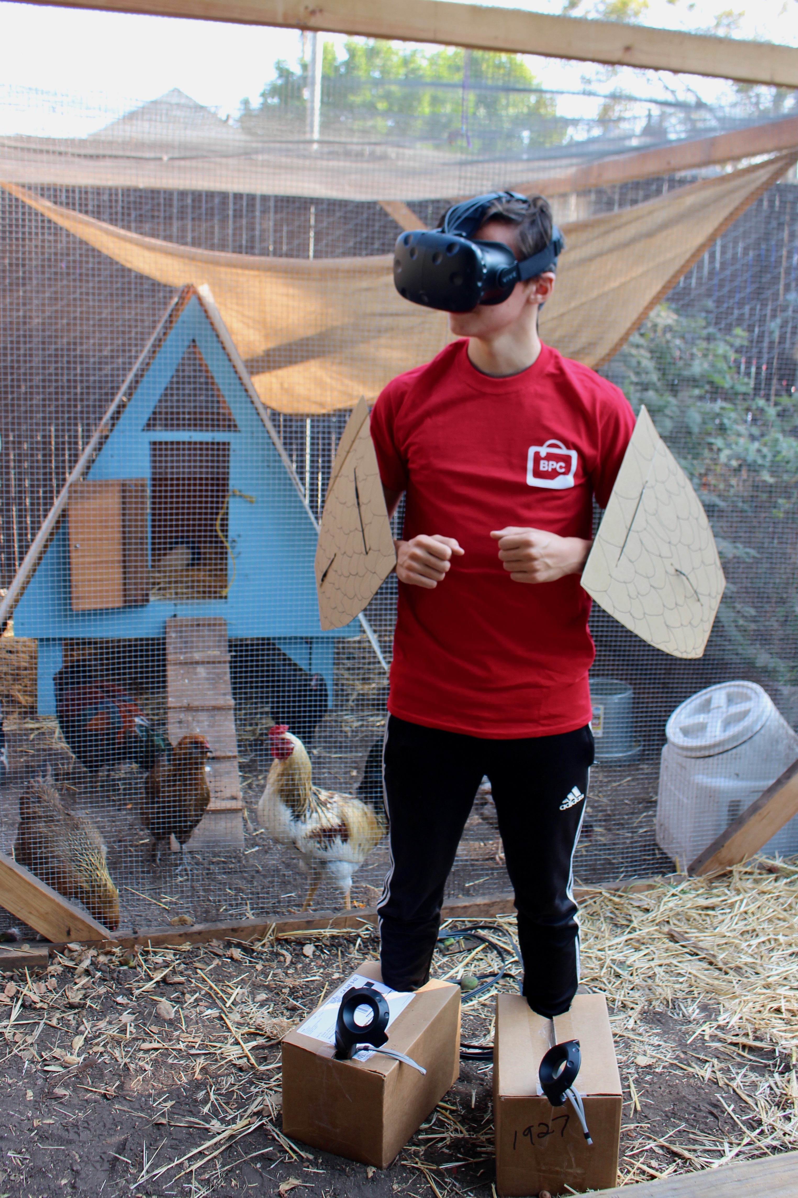 Chicken VR