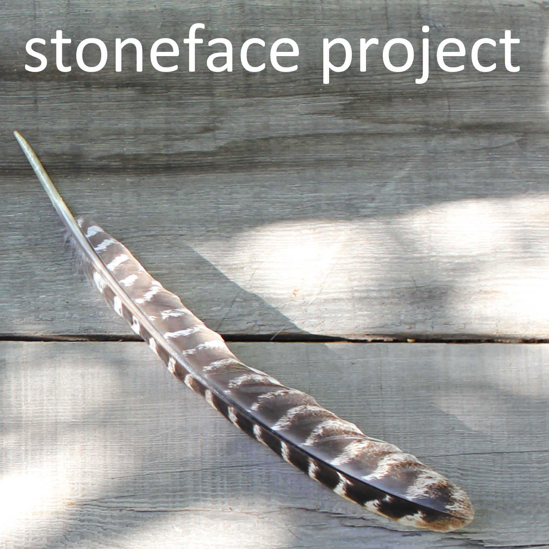 Stoneface Project