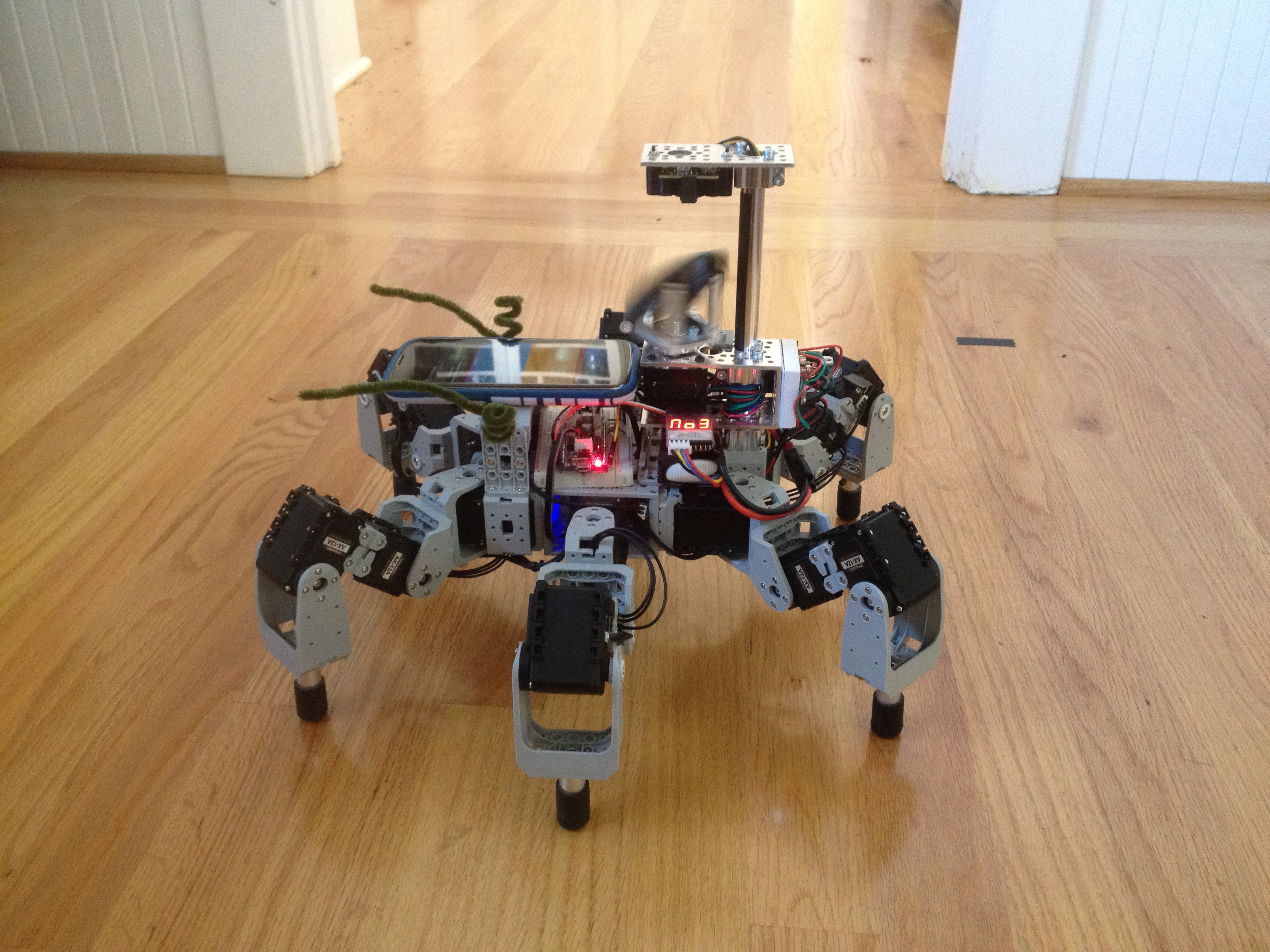 Rhoeby the Navigation-Capable Hexapod