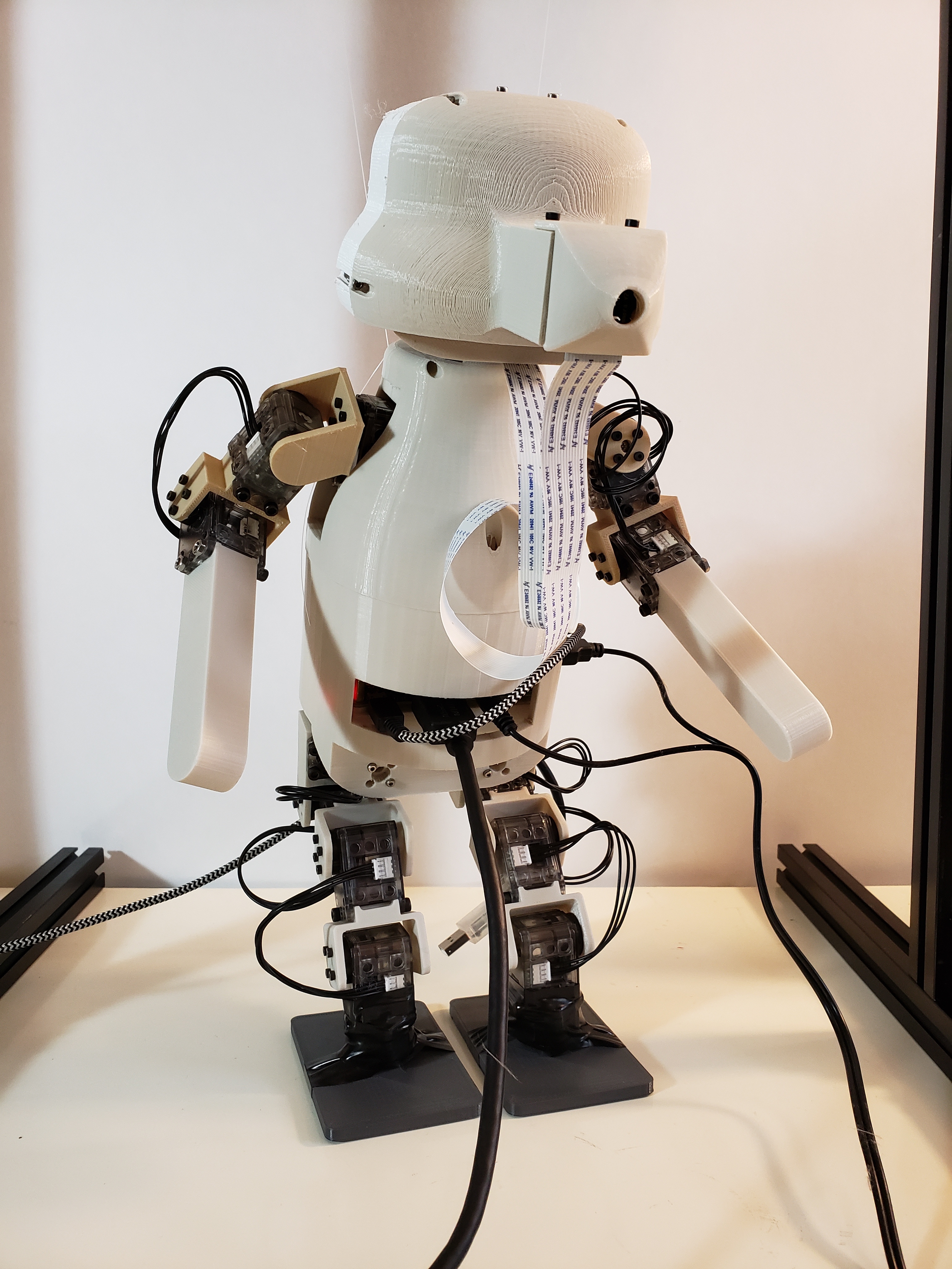 Teddy (A Learning Robot)