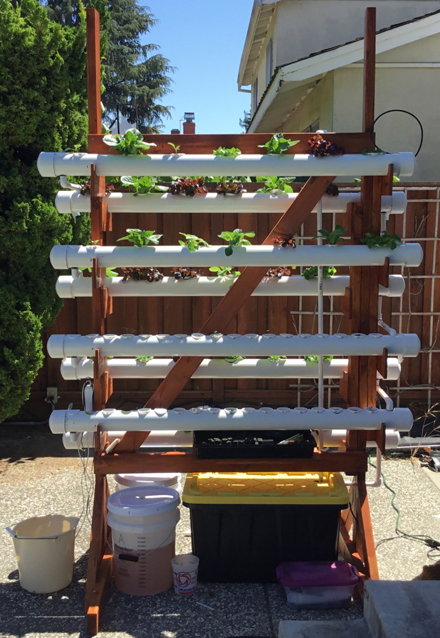 Project Springtime: grow delicious veggies in your backyard with open-source-style hydroponics