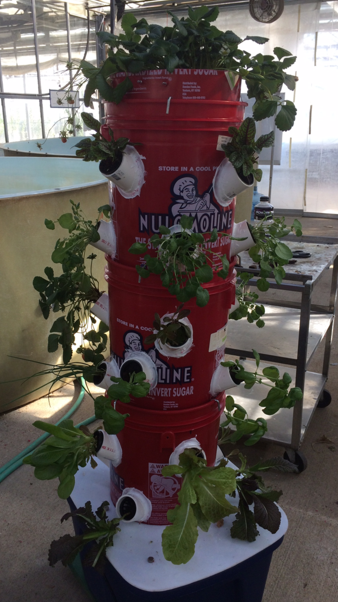 Engineering for Sustainability - Hydroponics Design