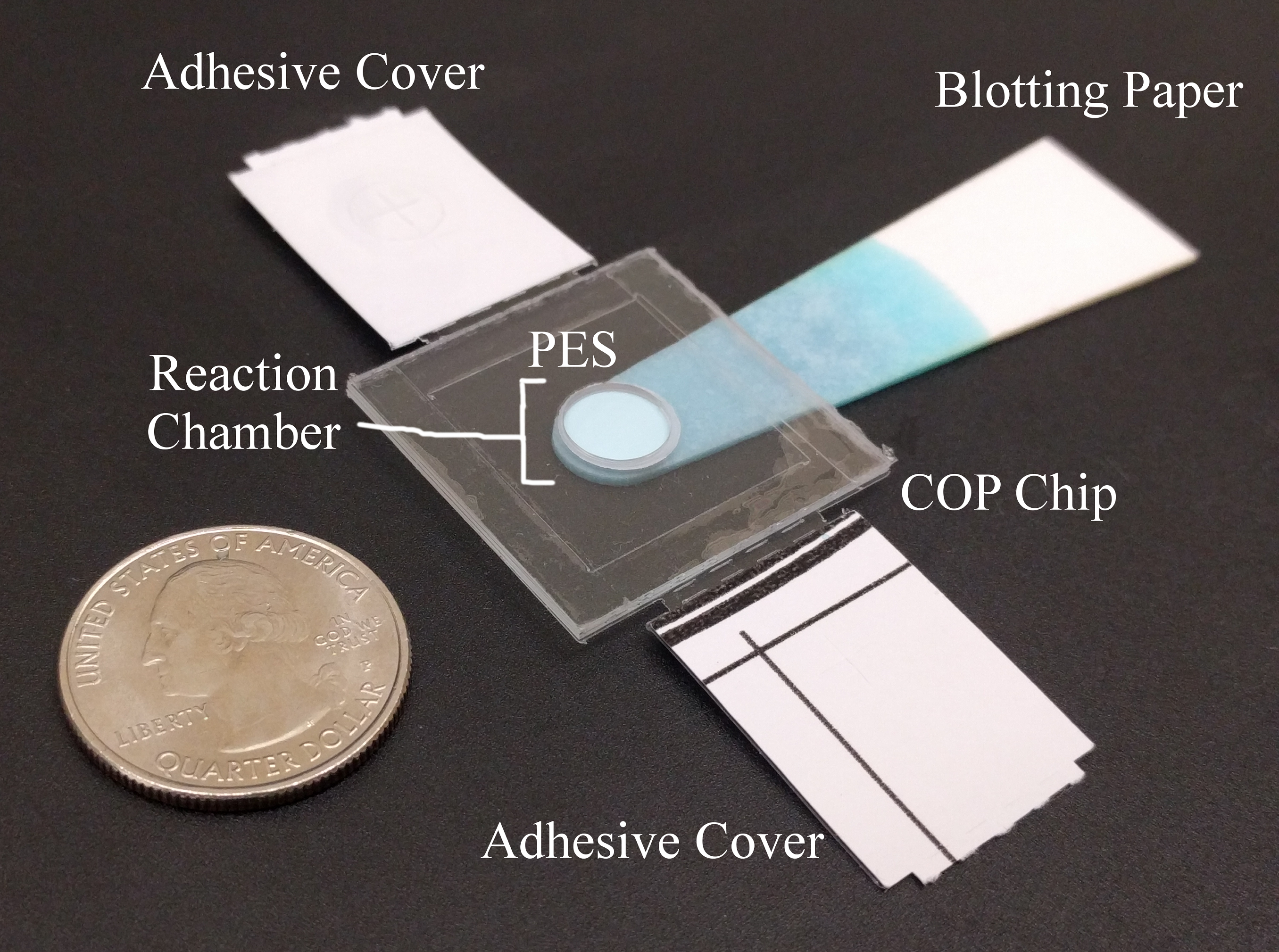 Paper Microfluidics Platform for Infectious Disease Diagnostics